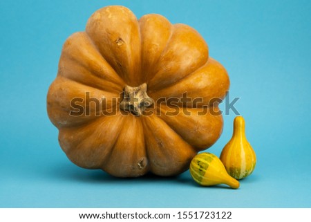 Shutterstock Puzzlepix