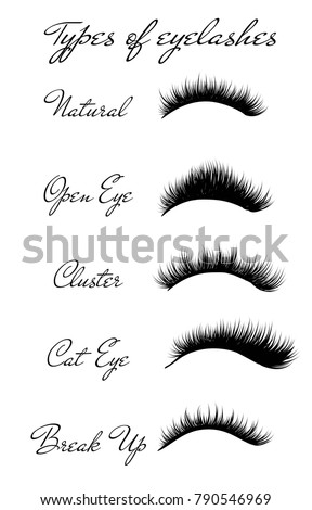 Eyelashes free vectors download | 0 Free vector graphic images | Free