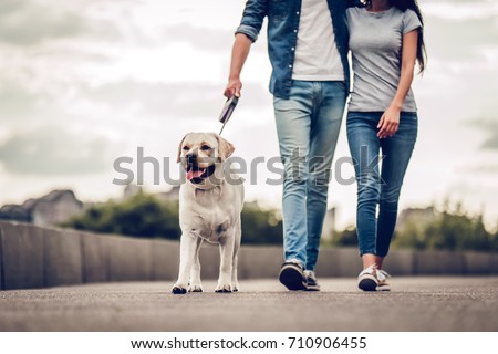Similar – Image, Stock Photo Crop woman with dog resting at home