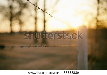Barb wire fence under morning light