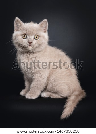 Shutterstock Puzzlepix