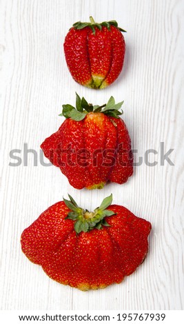 fresh strawberries strange shape. Funny red fruit