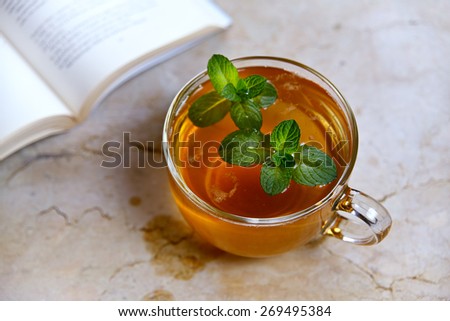 iced tea of mint & book. Summer drink & relax