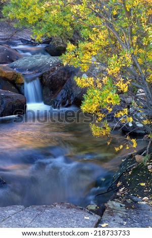 Smalll cascades of water flow over the rocks and the trees start turning yellow for the fall season