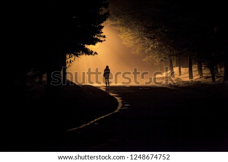 Similar – Image, Stock Photo lonely forest silhouette