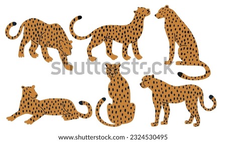 set of hand drawn leopards. Vector hand-drawn design on the white background.