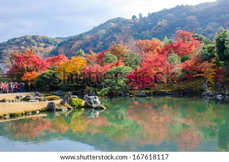 colorful tree reflect with green water in pool in Japan in Autumn