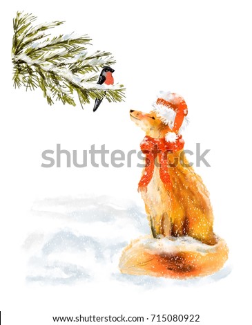 Beautiful watercolor illustration of bullfinch sitting on the branch of spruce and the fox in the hat and scarf in the snow . Could be used for postcards/prints/ books/ t-shirts etc