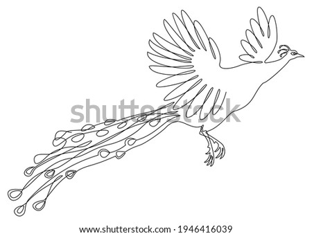 A beautiful peacock is flying. A bird with a lush tail in a modern one-line style. Solid line, outline for decor, posters, stickers, logo. Vector illustration.