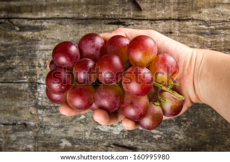 red grapes hold by hand on wood board background. Close up bird eyes view.
