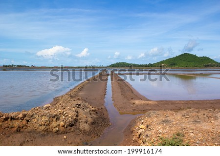 Salt plantation near Kep, Cambodia. Salt is mined during the dry season, when the sea water is poured through the channels on the field. After the salt settles that local workers collect in palm barns