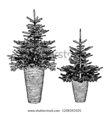 Cute Christmas Tree Clipart Small Christmas Clipart Stunning Free Transparent Png Clipart Images Free Download