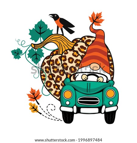 
Large leopard pumpkin, crow and  gnome on a turquoise car. Fall decor. Vector design. Cartoon illustration.