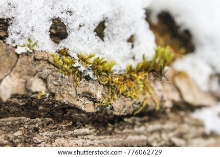 Similar – Image, Stock Photo whatever Winter Snow