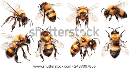 bee clipart, isolated vector illustration.