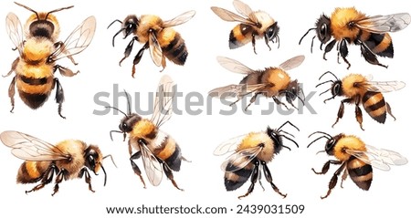 bee clipart, isolated vector illustration.