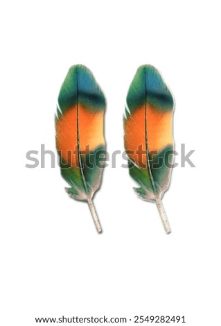 Similar – Image, Stock Photo Beautiful lovebird on a branch