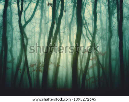 Similar – Image, Stock Photo Oak leaf melancholic and dreary in November