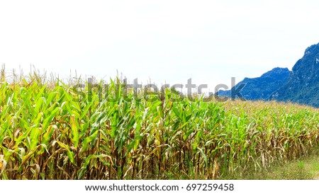 Similar – Image, Stock Photo node Economy Agriculture