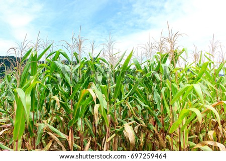 Similar – Image, Stock Photo node Economy Agriculture