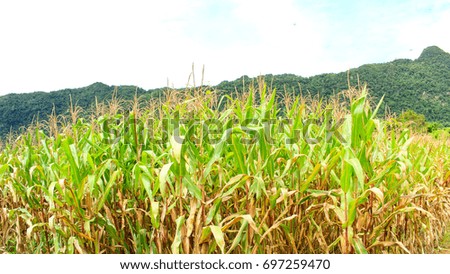 Similar – Image, Stock Photo node Economy Agriculture