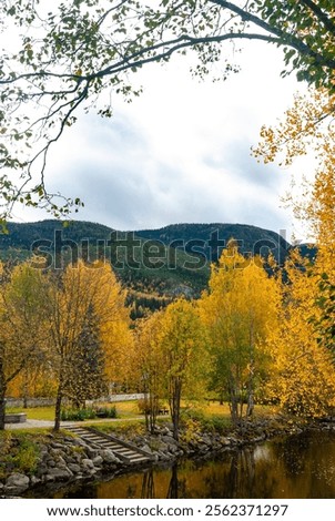 Similar – Image, Stock Photo Small grove on empty dry field