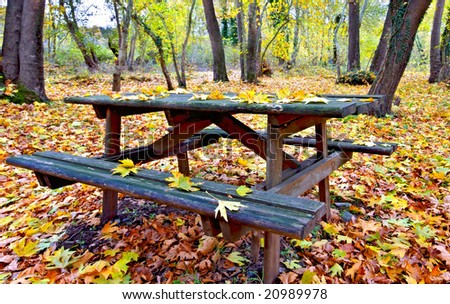 Wooden table and bench in a forest at fall