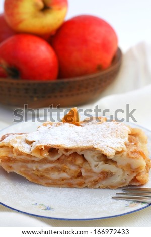 Apple Strudel, typical german food, on a plate with fork and apple basket in background