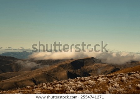 Similar – Image, Stock Photo frosty autumn day