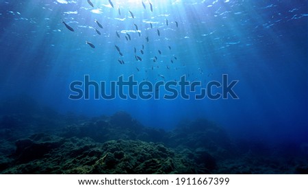 Similar – Image, Stock Photo underwater Environment
