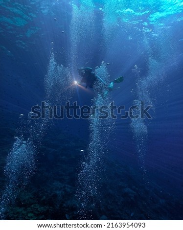 Similar – Image, Stock Photo Diver surrounded by bubbles jumping in water