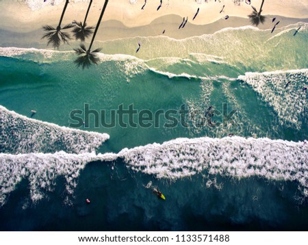 Shutterstock Puzzlepix