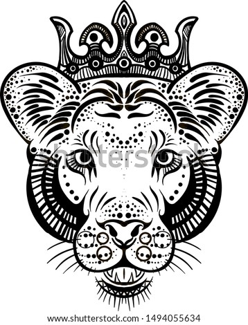 Free Free 67 Female Lion Svg Free SVG PNG EPS DXF File