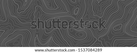 Gray topographic line contour map background, geographic grid map