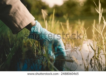 Similar – Image, Stock Photo A nature experience of a special kind. This fern , illuminated by the sun and standing half in the shade.