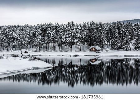 Swedish winter landscape with a little cabin in Lapland