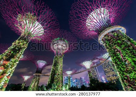 MARINA BAY ,SINGAPORE, May 21, 2015: Big Tree light show night time for people watch the show in Garden By The Bay,Singapore