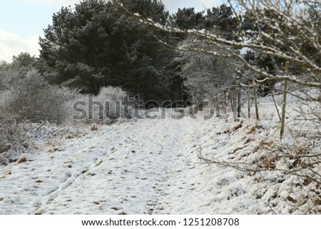 Similar – Image, Stock Photo idyllic rural road feldweg