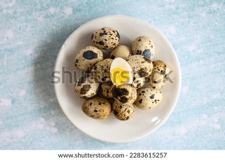 Similar – Image, Stock Photo Fresh quail eggs in woman’s hands from above