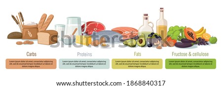 Main food groups - macronutrients. Carbohydrates, fats, proteins and fructose. Vector infographic illustration