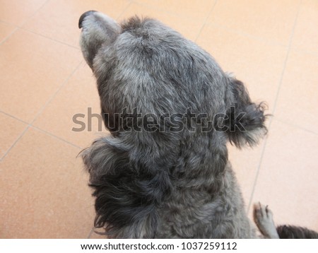 Shutterstock Puzzlepix