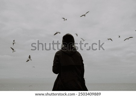 Similar – Image, Stock Photo seagulls in the cloudy sky