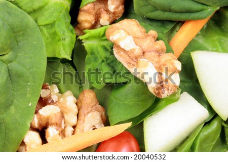 Perfect fresh veggies salad great for dieters and food lovers