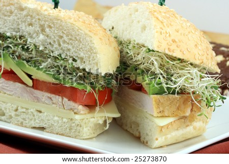 Fabulous turkey sandwich made with oven roasted turkey breast and organic vegetables