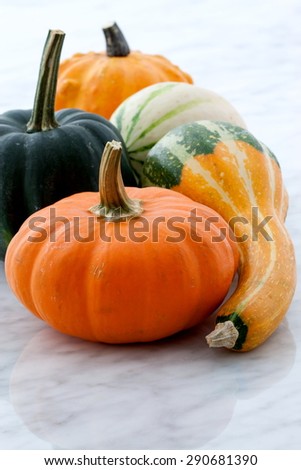 Beautiful organic assorted pumpkins or summer squash on carrara marble countertop