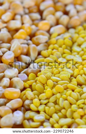 closeup of split yellow mung beans  and sweetcorn seeds  , selective focus with blur foreground and background