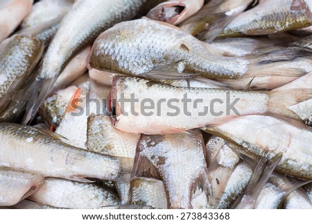 Cutted head fish prepare for cooking; selective focus.