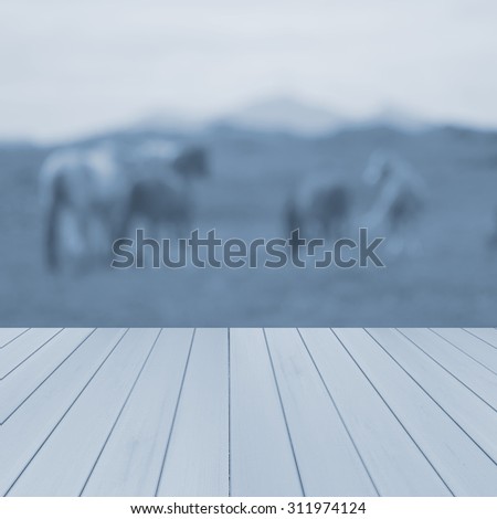 Empty wooden,blue deck table with horses in the meadows and mountains in blurred background. UK. Ready for product display montage.