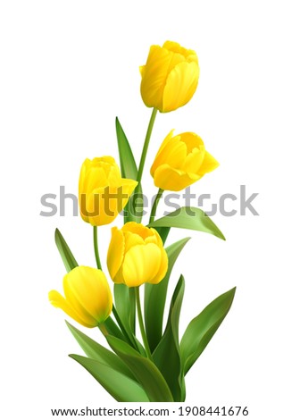 Bouquet of spring yellow tulips isolated on white background. Realistic vector illustration EPS10