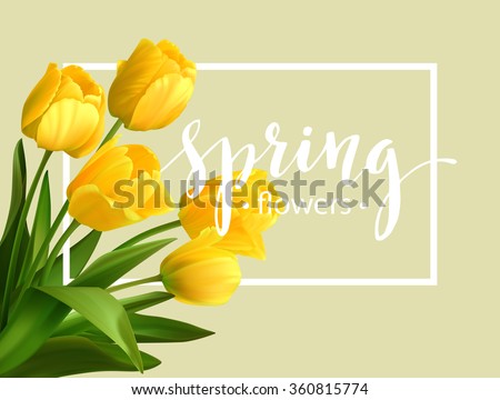 Similar – Image, Stock Photo Yellow tulip flowers isolated on white background, for your creative design and decoration
